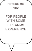 FIREARMS 102

FOR PEOPLE WITH SOME FIREARMS EXPERIENCE